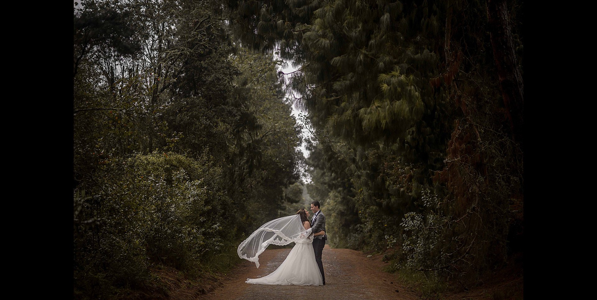 fotografia de bodas